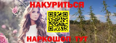 индика Будённовск