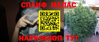 ГАЛЛЮЦИНОГЕННЫЕ ГРИБЫ Бузулук
