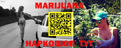 индика Будённовск