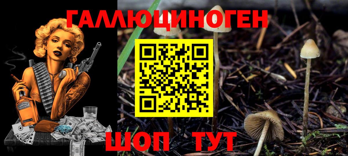 Галлюциногенные грибы Magic Shrooms Белово